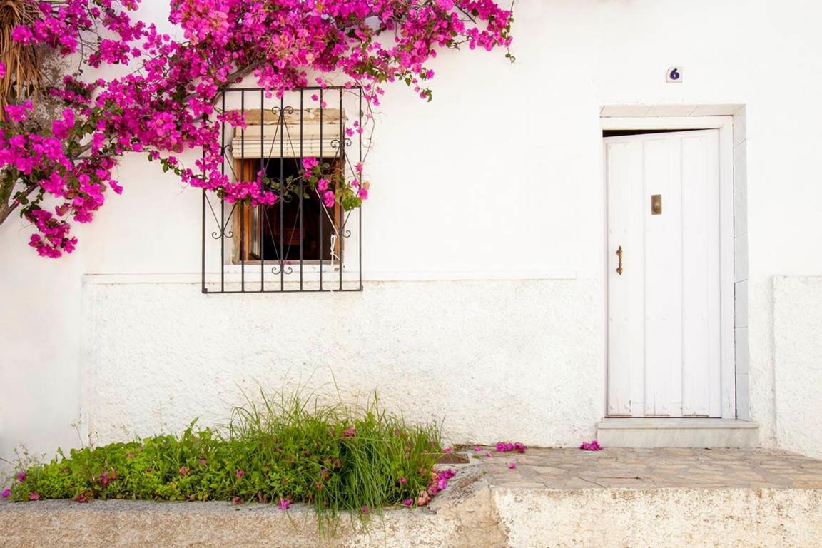 فيلا La Casa De Alicia سالوبرينيا المظهر الخارجي الصورة