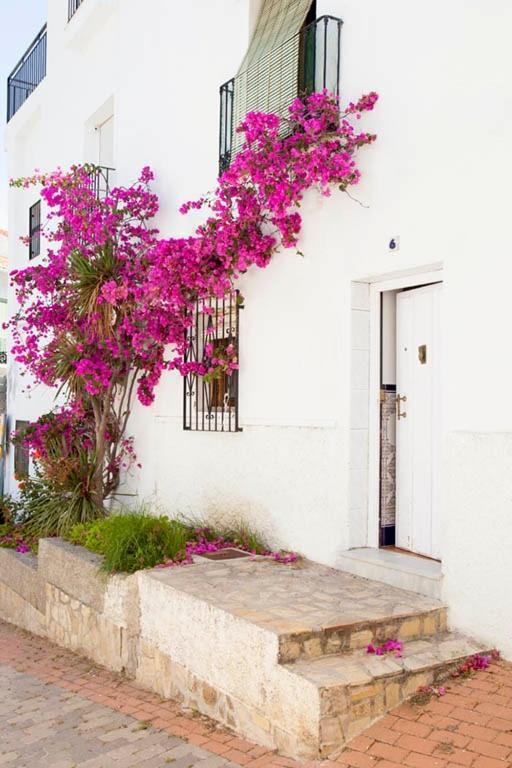فيلا La Casa De Alicia سالوبرينيا المظهر الخارجي الصورة